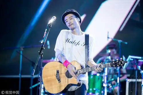 朴树深情献唱 获满场粉丝挥荧光棒应援