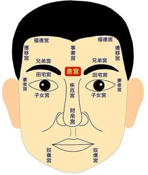 面相揭示财富密码