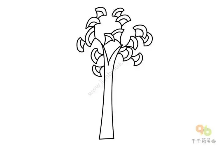 银杏树树干粗细简笔画