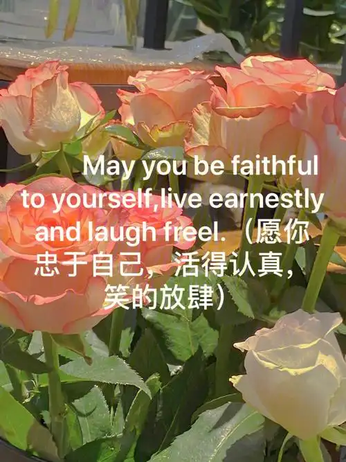 超级温柔的英文文案分享78