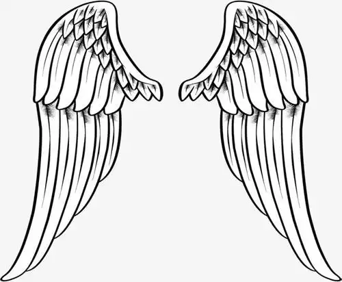 卡通天使之翼白色对称的矢量翅膀