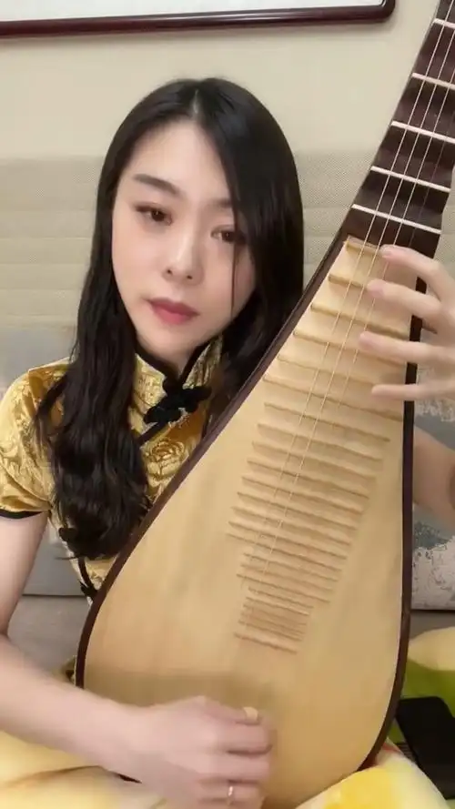 琵琶曲旱天雷教学琵琶教学杨婧琵琶工作室自学琵琶