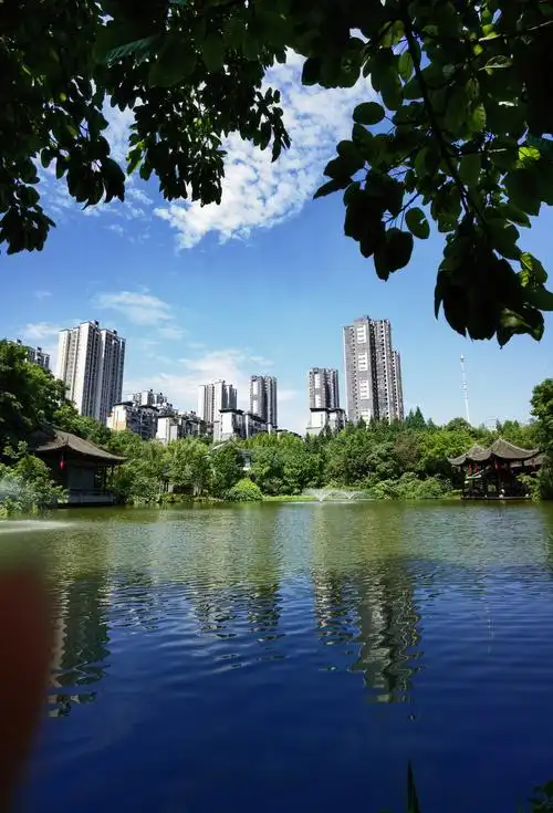 我自己都不相信这是我的手机拍的