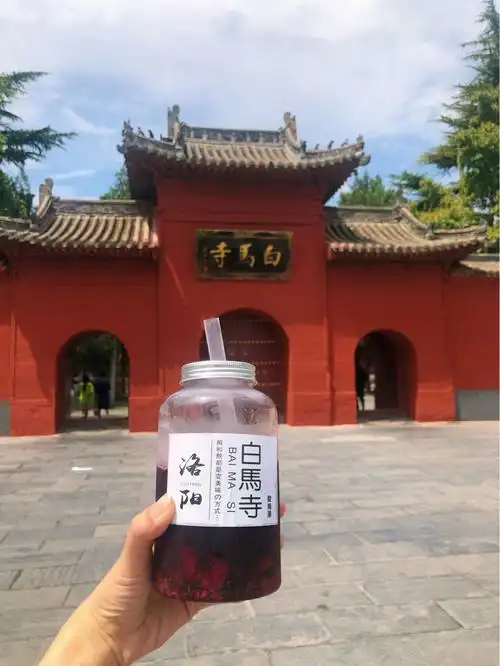 千年古刹白马寺,一草一木皆过往