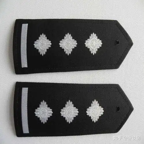 如果她确实是个辅警,为何佩戴正式警察的警衔?