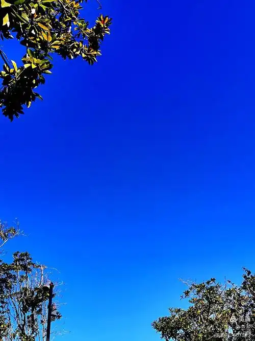 天空澄碧 纤云不染 今天的天 真的很蓝很蓝 (乐乐拍的湛蓝天空)