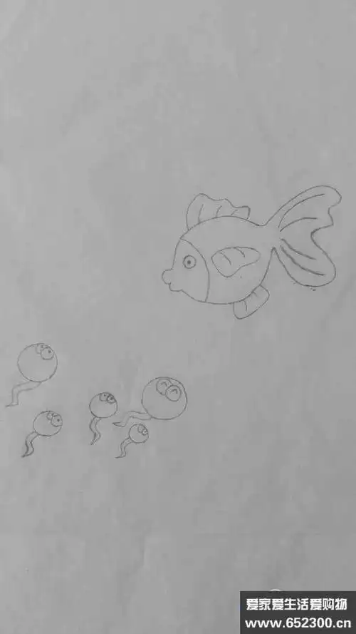 青蛙妈妈和小蝌蚪的简笔画