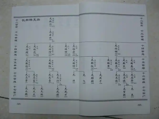 龙氏族谱(卷一至卷七,共7本,有:税郭龙氏赵村支族,临沂岚山区枣沟头镇