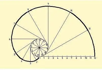 圆的渐开线对应的基圆是什啊?