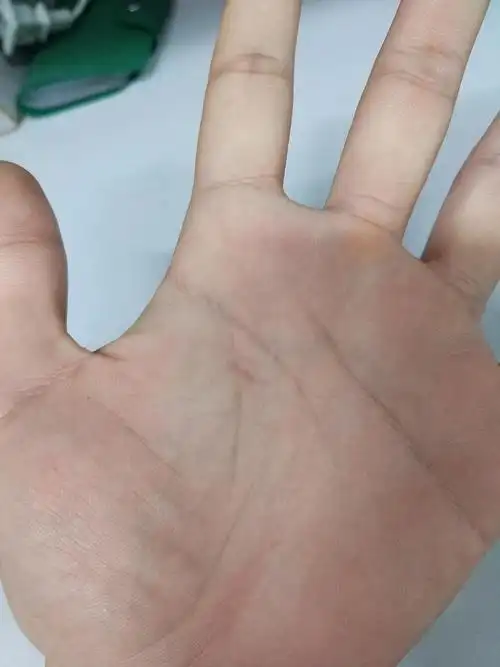 另,之前去布达拉宫的时候,里面有一个活佛手纹,莲花状,非常奇特,可惜