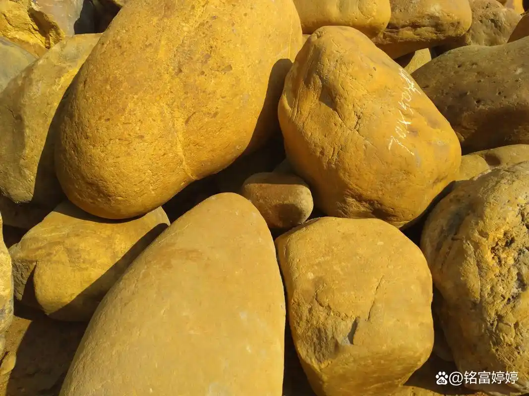 金黄色石头怎么卖?广东黄皮水石厂家,广东黄皮石厂家