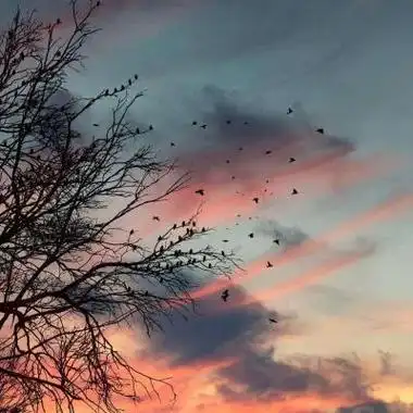 中年人高颜值大自然风景头像