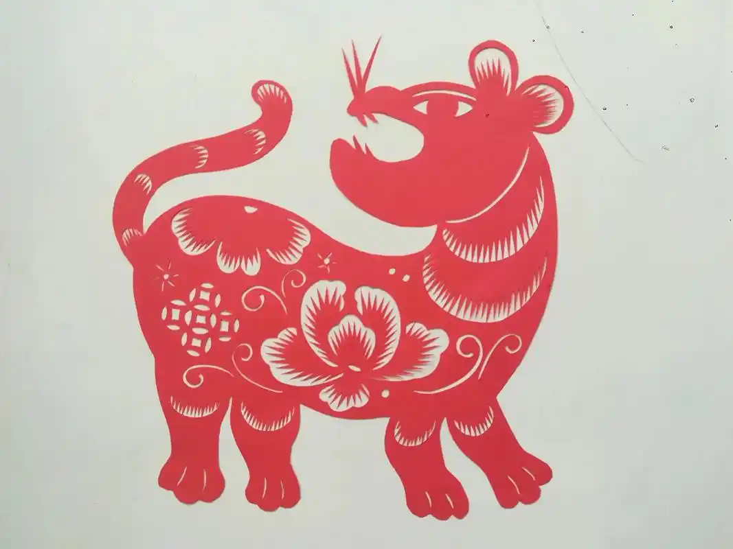 脱稿剪纸老虎和孔雀分享给大家!感谢老师!@王宪苓剪纸《晚上七 - 抖音