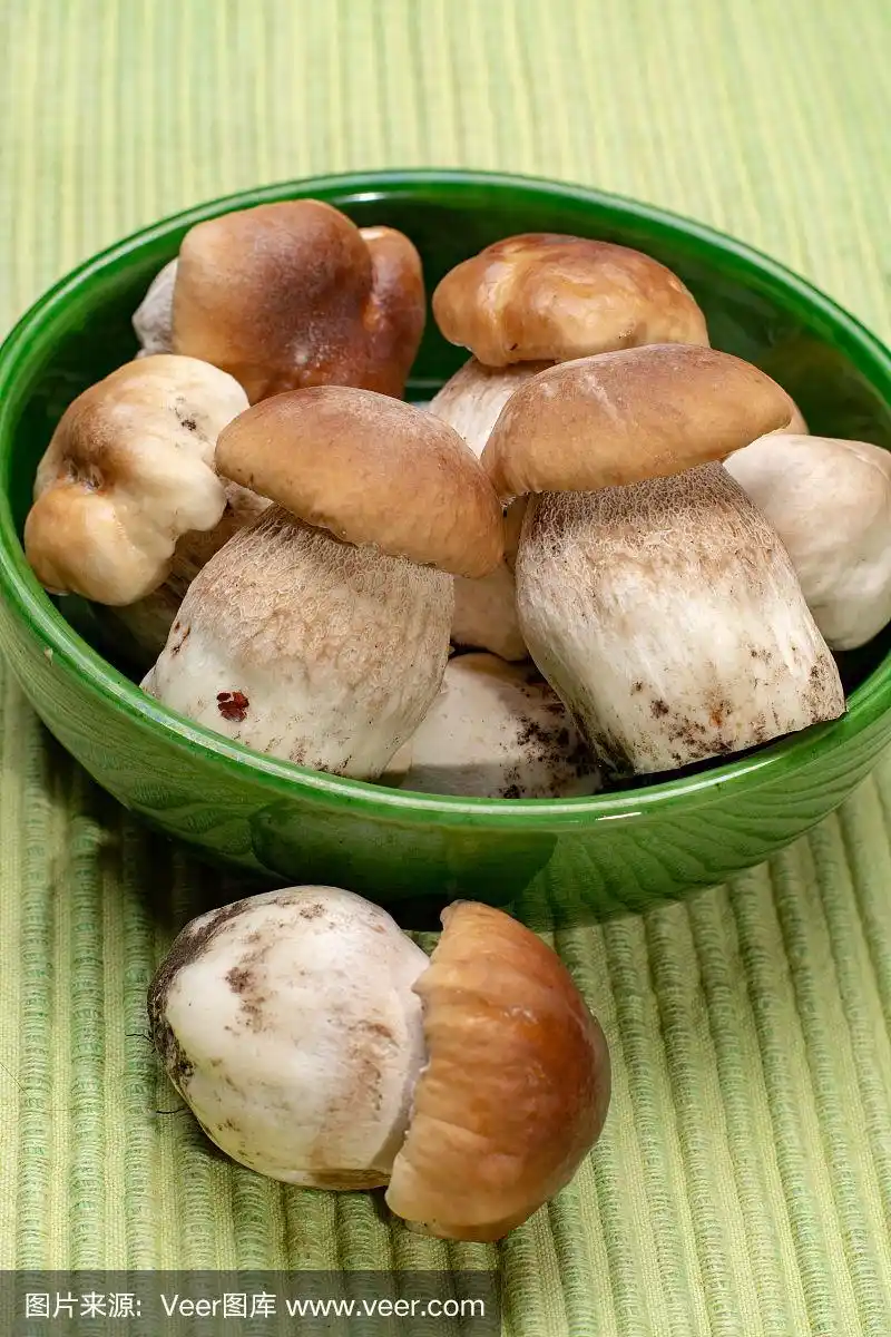 新鲜生全白牛肝菌,美味可食用蘑菇合上