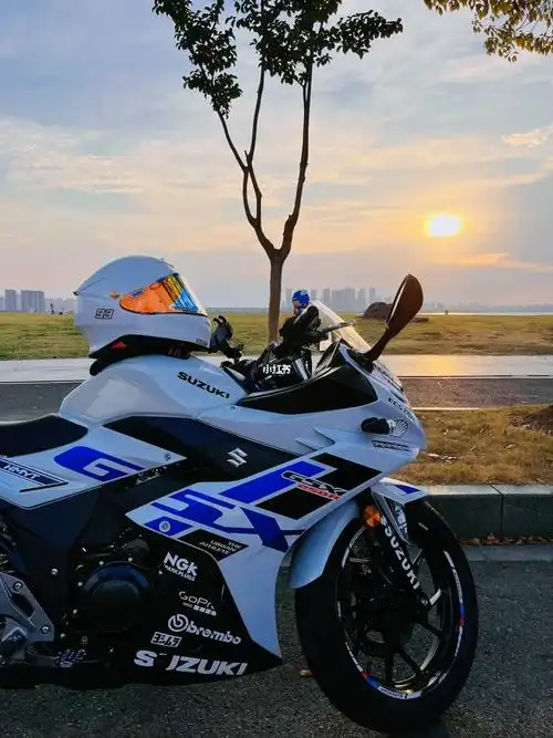 22款gsx250冰川白