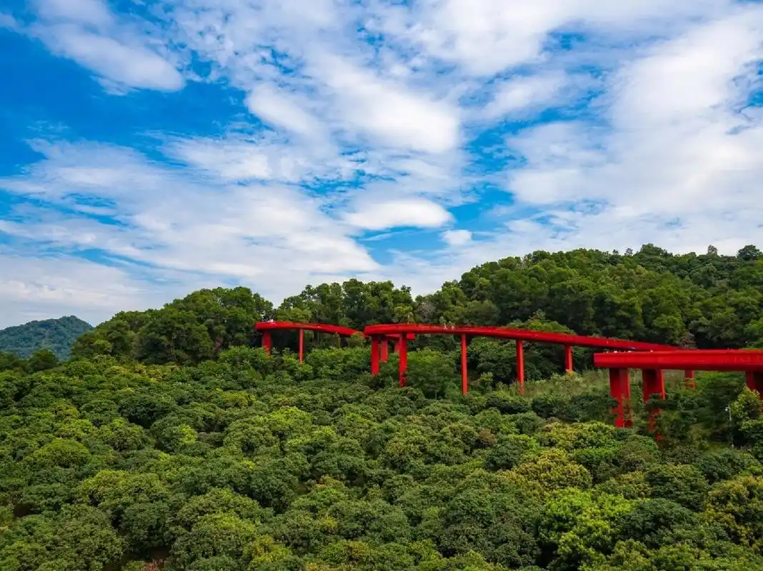 深圳光明92虹桥公园77红桥绿树蓝天白云78 虹桥公园,红桥,网