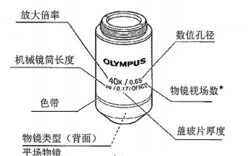 奥林巴斯cx33显微镜40x物镜光学参数