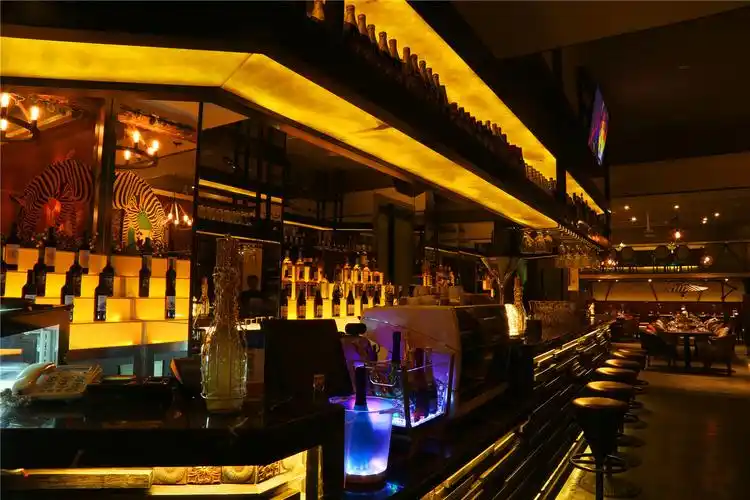 热情的斑马酒吧