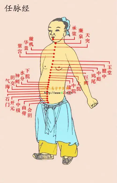 打坐开任督二脉的原理,生理与修道,价值千万的文章 - 明灯 - 明灯