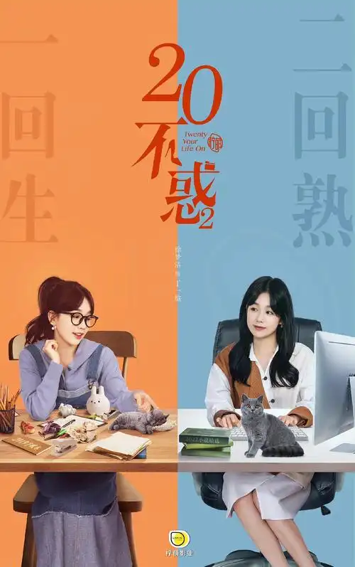 二十不惑2主演海报来啦