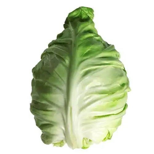 牛心子莲花白800g(±30g)/份