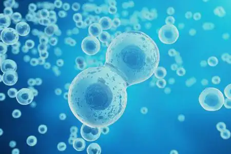 生活与生物学, 医学科学, 分子生物学研究 dna.3d 渲染照片