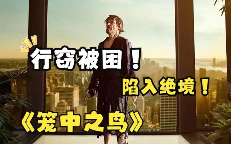 《笼中之鸟》:艺术品大盗行窃失败被困!美丽的家变成冷漠的囚牢!