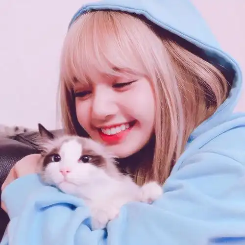 lisa头像奶糖泡芙