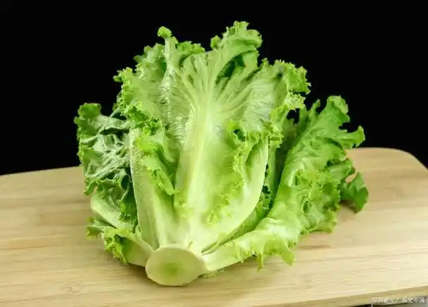 生菜是一种常见的蔬菜,它的营养价值非常高,含有丰富的维生素和矿物质