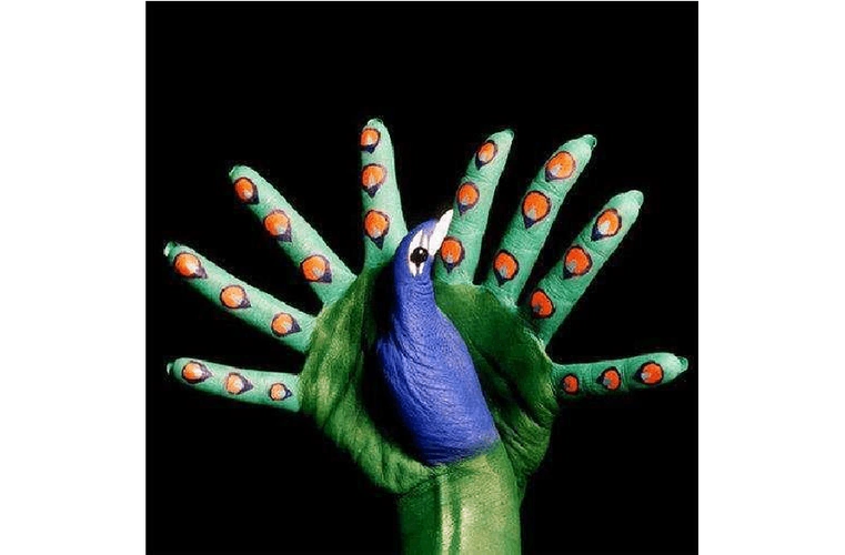 幼儿园公开课教案:大班美术活动《手形彩绘》