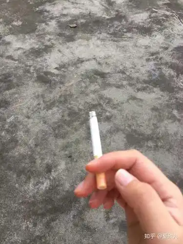 能看到烟头子不    抽的软蓝楼