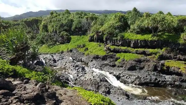 洛伦茨国家公园:印尼巴布亚省的独特自然宝藏