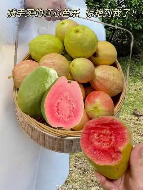 榴莲的叶酸含量是苹果的30倍##健闻登顶计划