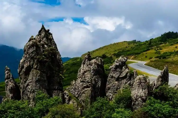 湖北神农架景色_国务院_建制_林地