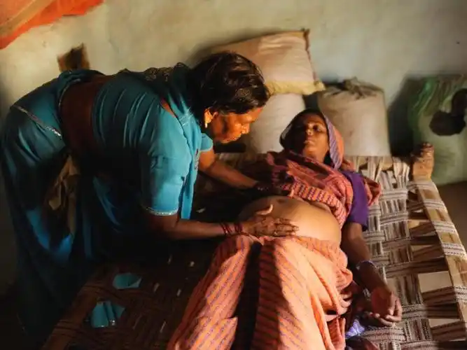 代孕工厂,在这里 | 地球知识局