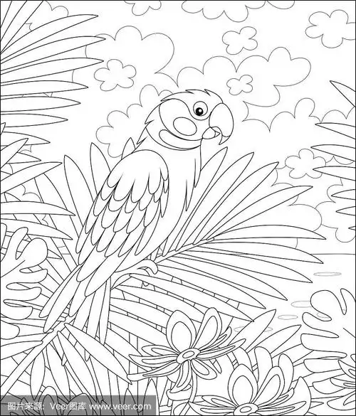 幽默,鹦鹉,热带雨林,鸡尾酒,华丽的