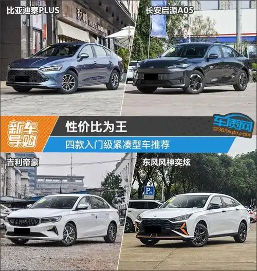 性价比为王 四款入门级紧凑型车推荐|帝豪|内饰|东风风神|比亚迪秦