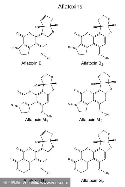 黄曲霉毒素的结构式