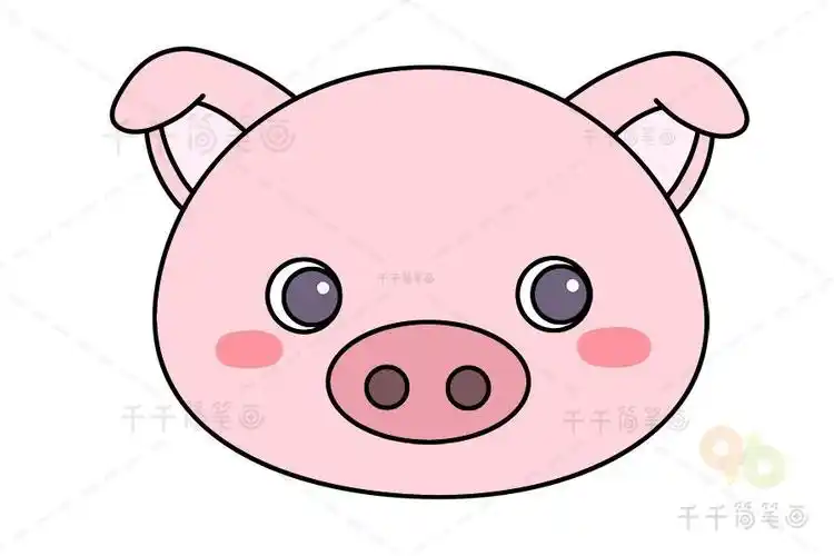 猪头简笔画彩色可爱