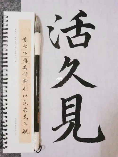 每日手写  #毛笔字  #书法练习打卡  #书法  #我的书法分享