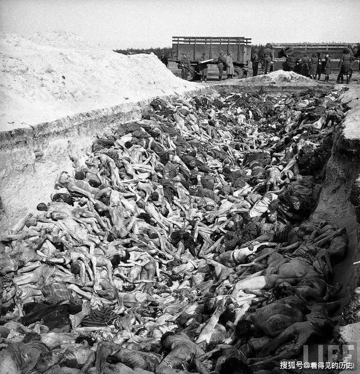 二战时德国集中营被折磨的犹太人好一个惨字了得