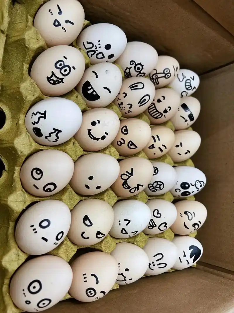 果缤纷#鸡蛋表情包#可以带小盆友来画表情哈哈 - 抖音