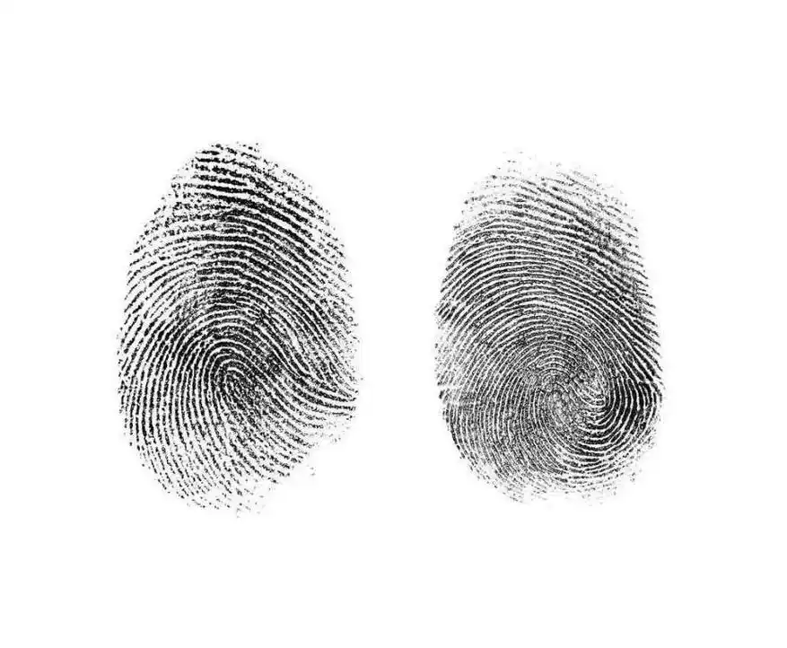 为什么人的指纹会不一样?这些因素都会有影响的