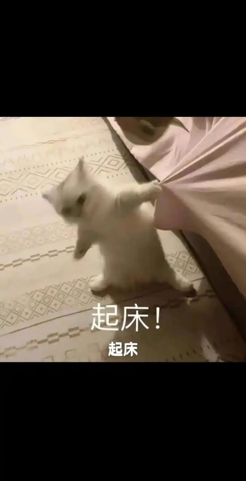 好玩,爱玩#表情包 #泰式口音人传人现场 #表情包 - 抖音