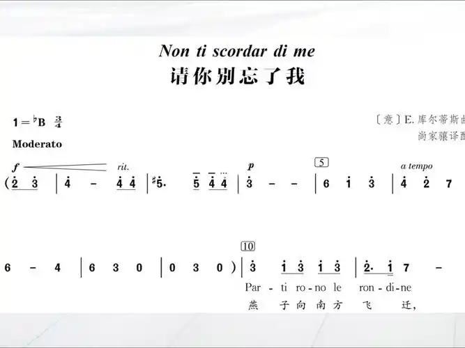 库尔蒂斯请你别忘了我简谱