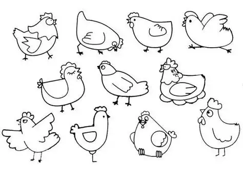 儿童画老母鸡简笔画