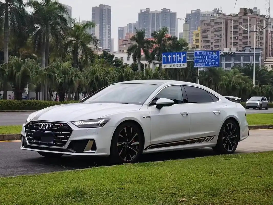 【车型】奥迪a7l 【上牌】22年79715 【车款 - 抖音