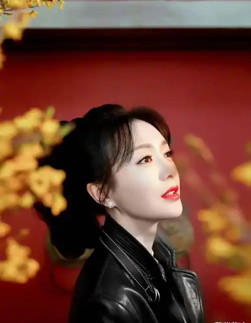 原创秦岚的脸真奇怪像网红打完针没吸收水肿的杀伤力太大了