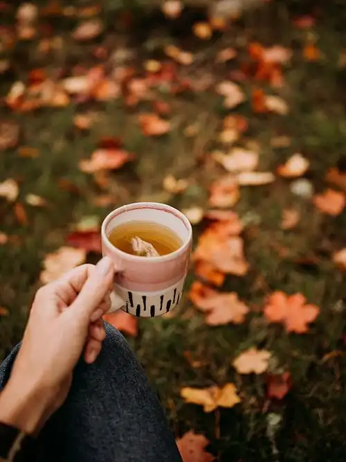 在户外喝茶的女人在秋天休闲装近陶瓷茶杯图片下载