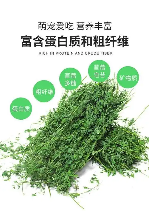2023烘干紫花苜蓿草干草兔子龙猫荷兰猪粮食饲料兔干牧草毛重1kg